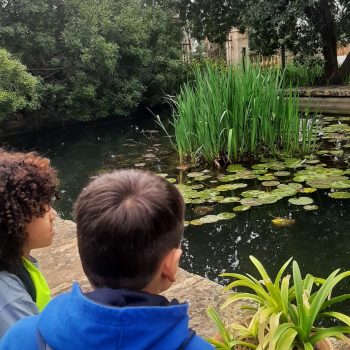 14a725b0-2a0a-4556-aeb7-68208e814ef2