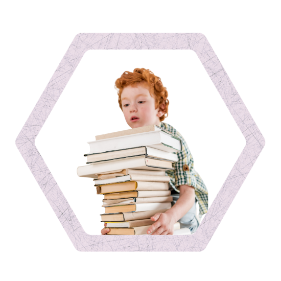 Imatges WEB quadrades (1)